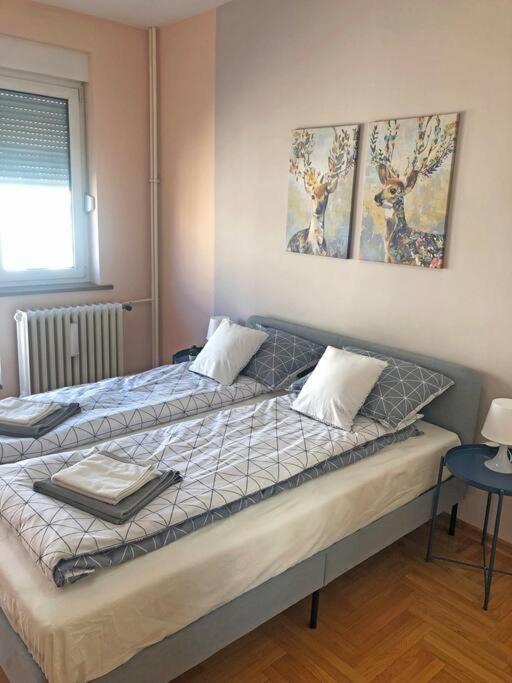 Quince Apartment-Free Parking-City Center Βελιγράδι Εξωτερικό φωτογραφία