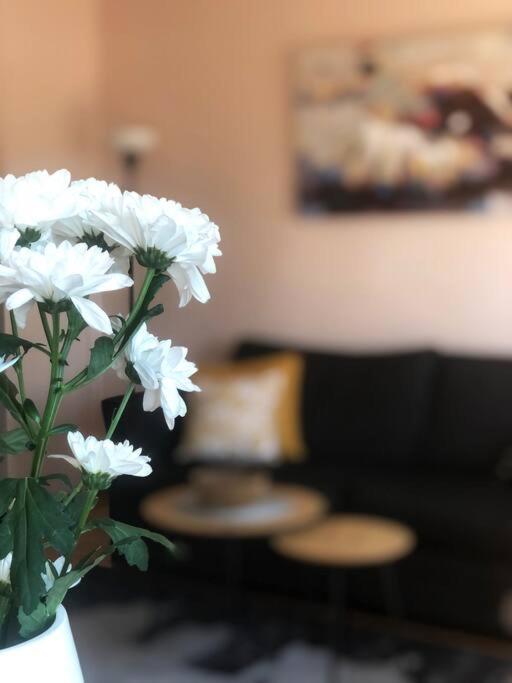Quince Apartment-Free Parking-City Center Βελιγράδι Εξωτερικό φωτογραφία